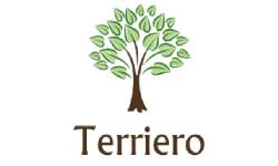 Dizajn logotipa - Terriero